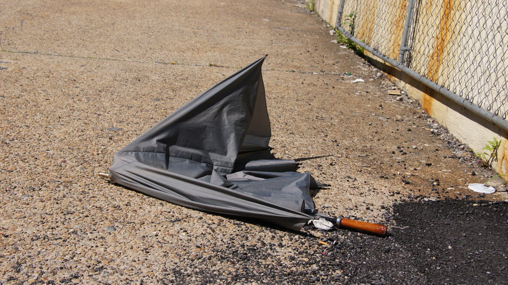 Discarded Umbrella Carcasses, NYC