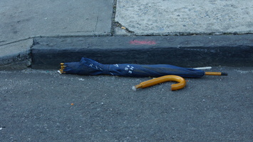 Discarded Umbrella Carcasses, NYC