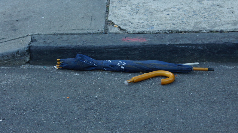 Discarded Umbrella Carcasses, NYC