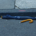 Discarded Umbrella Carcasses, NYC