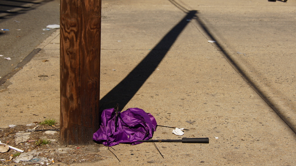 Discarded Umbrella Carcasses, NYC