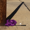 Discarded Umbrella Carcasses, NYC