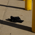 Discarded Umbrella Carcasses, NYC