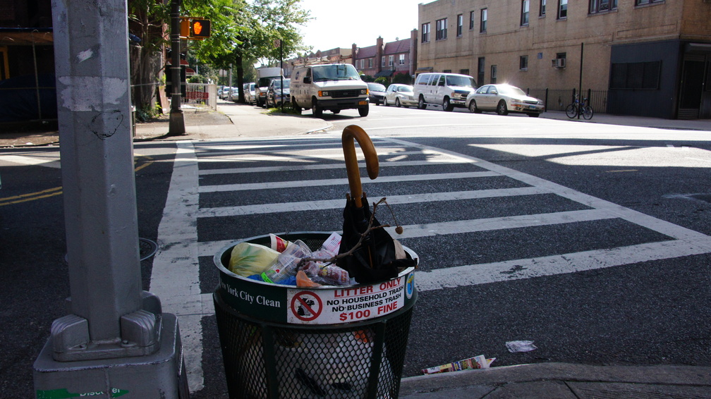 Discarded Umbrella Carcasses, NYC