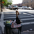 Discarded Umbrella Carcasses, NYC