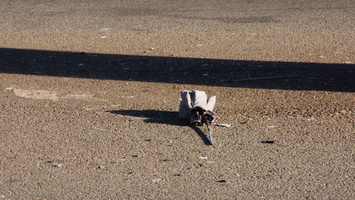 Discarded Umbrella Carcasses, NYC