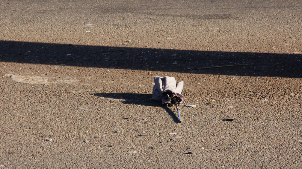 Discarded Umbrella Carcasses, NYC