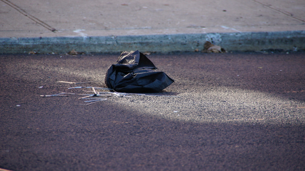 Discarded Umbrella Carcasses, NYC