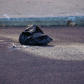 Discarded Umbrella Carcasses, NYC