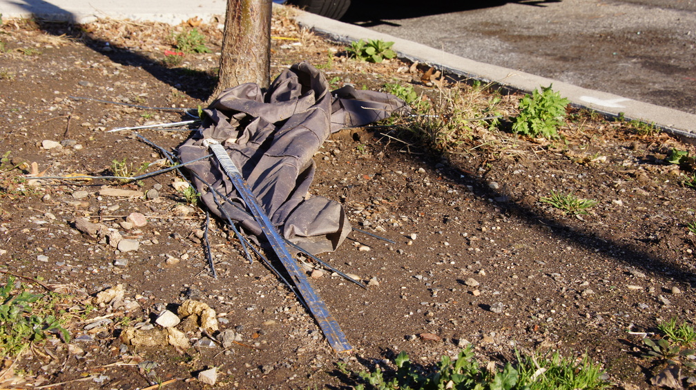 Discarded Umbrella Carcasses, NYC