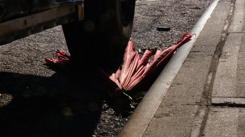 Discarded Umbrella Carcasses, NYC