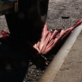 Discarded Umbrella Carcasses, NYC