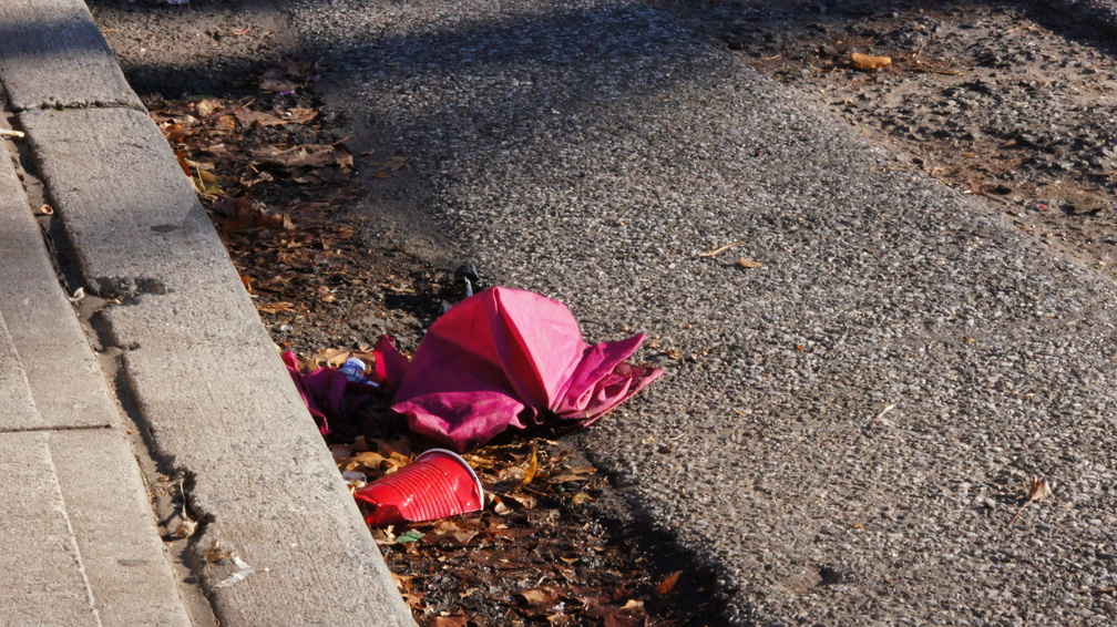 Discarded Umbrella Carcasses, NYC