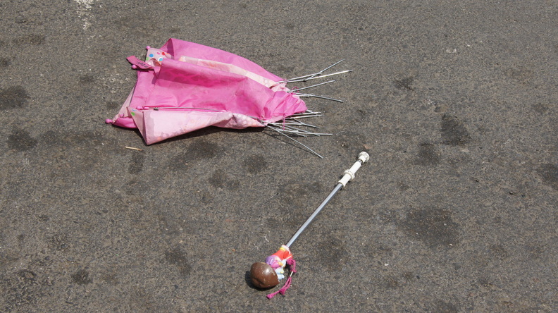 Discarded Umbrella Carcasses, NYC