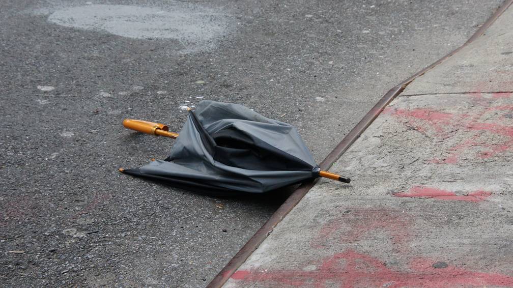 Discarded Umbrella Carcasses, NYC