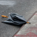 Discarded Umbrella Carcasses, NYC