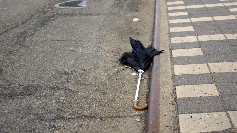 Discarded Umbrella Carcasses, NYC