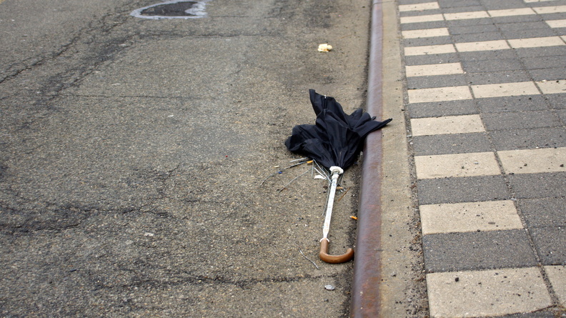 Discarded Umbrella Carcasses, NYC