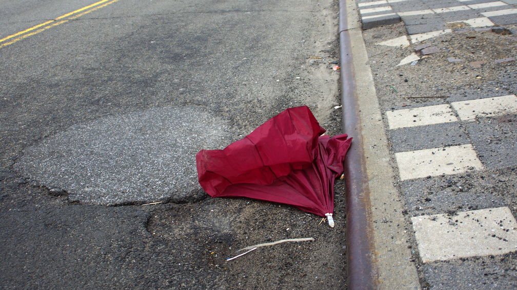 Discarded Umbrella Carcasses, NYC