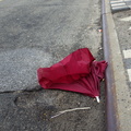 Discarded Umbrella Carcasses, NYC