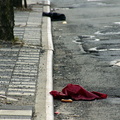 Discarded Umbrella Carcasses, NYC