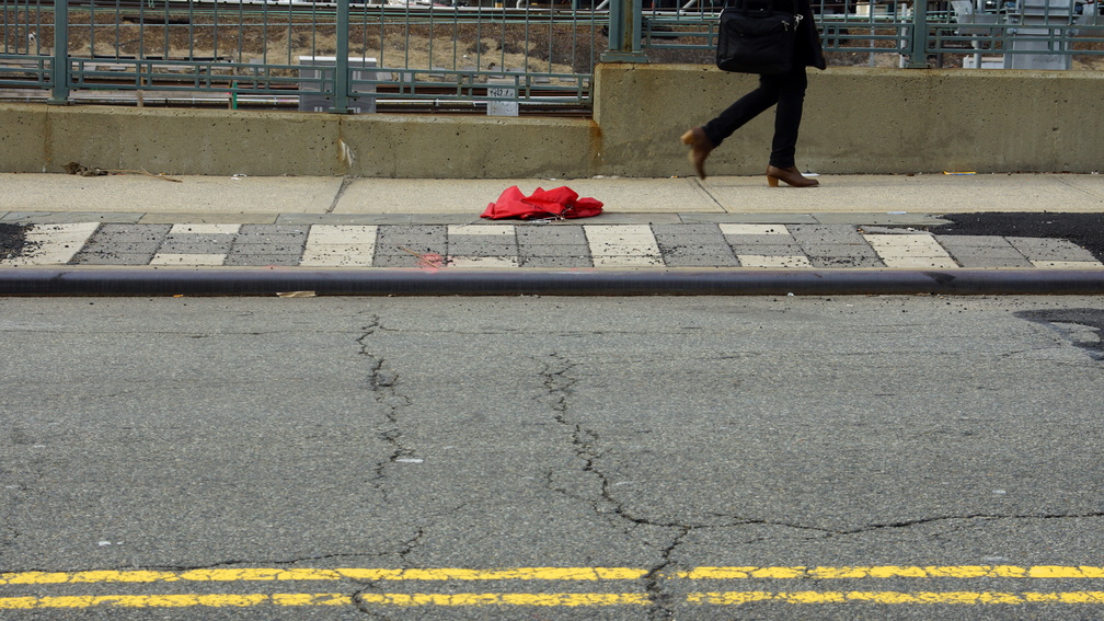 Discarded Umbrella Carcasses, NYC