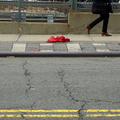 Discarded Umbrella Carcasses, NYC