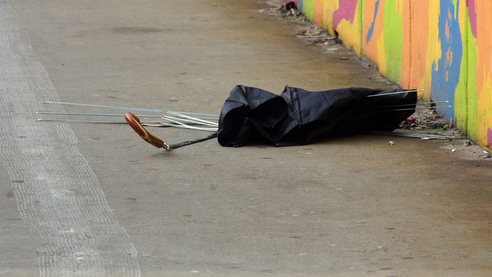 Discarded Umbrella Carcasses, NYC