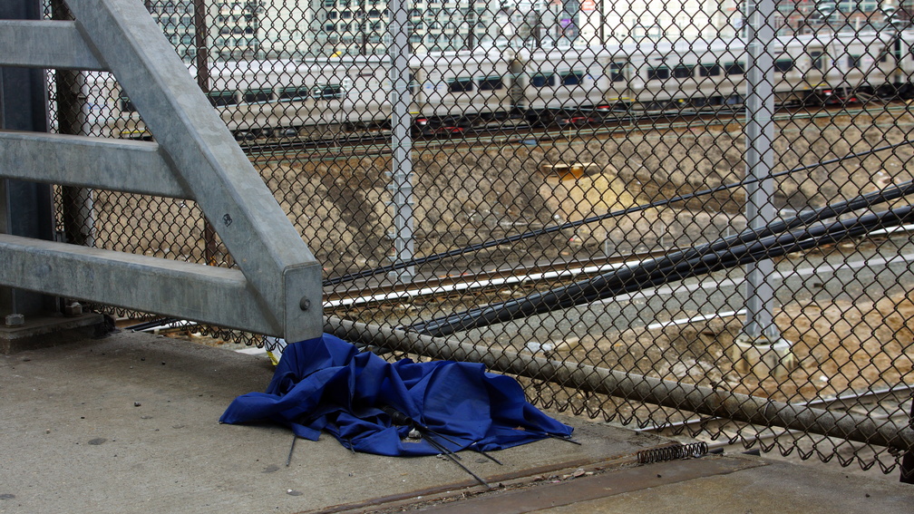 Discarded Umbrella Carcasses, NYC