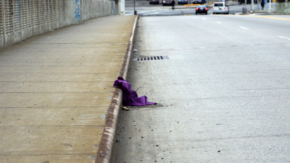 Discarded Umbrella Carcasses, NYC