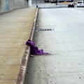 Discarded Umbrella Carcasses, NYC