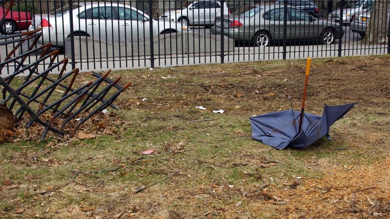 Discarded Umbrella Carcasses, NYC