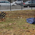 Discarded Umbrella Carcasses, NYC