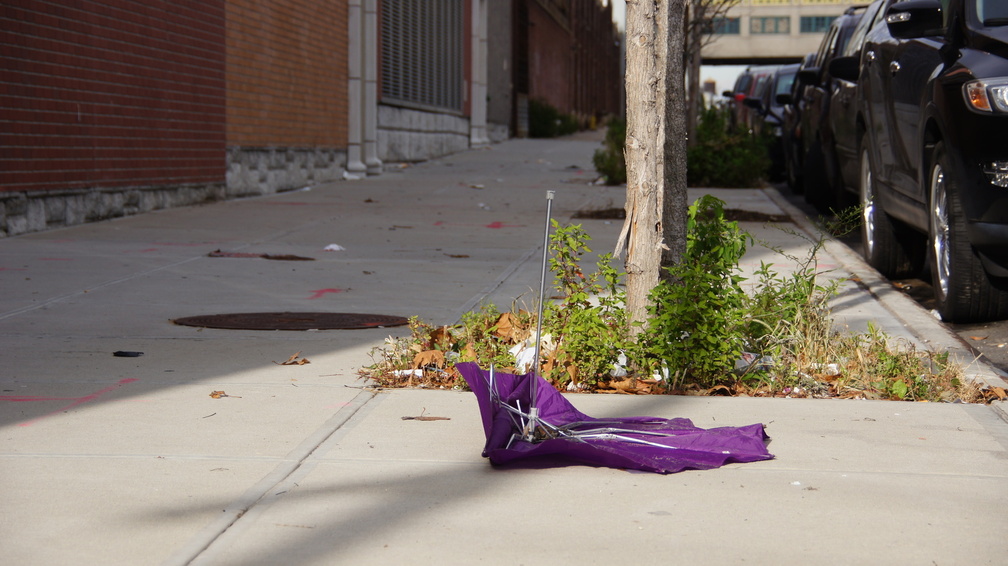 Discarded Umbrella Carcasses, NYC