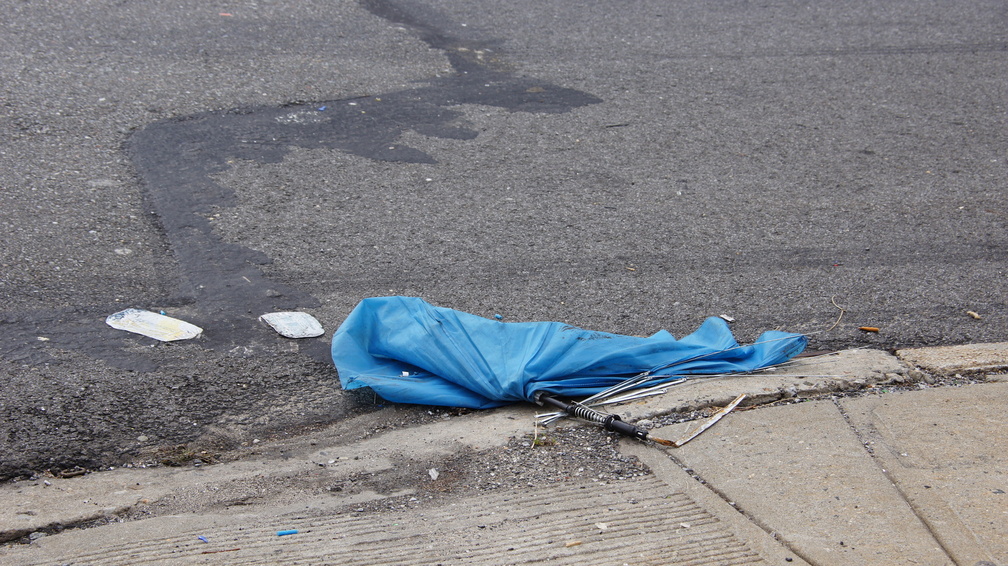 Discarded Umbrella Carcasses, NYC