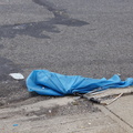 Discarded Umbrella Carcasses, NYC