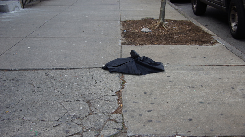 Discarded Umbrella Carcasses, NYC