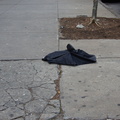 Discarded Umbrella Carcasses, NYC