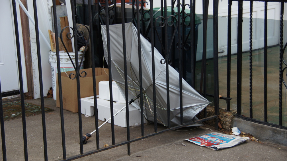 Discarded Umbrella Carcasses, NYC