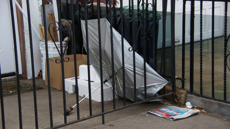 Discarded Umbrella Carcasses, NYC