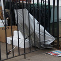 Discarded Umbrella Carcasses, NYC