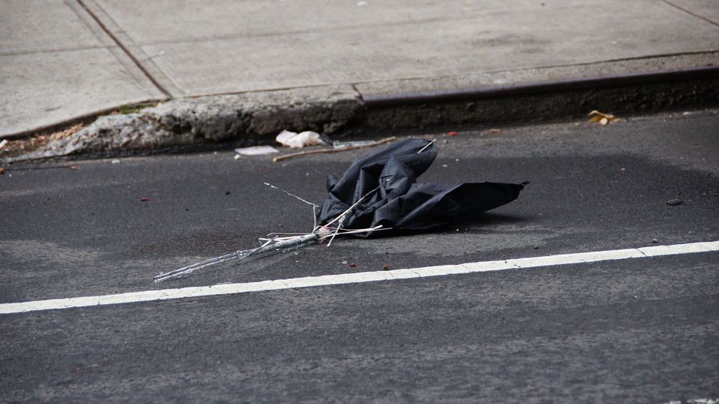 Discarded Umbrella Carcasses, NYC