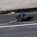 Discarded Umbrella Carcasses, NYC