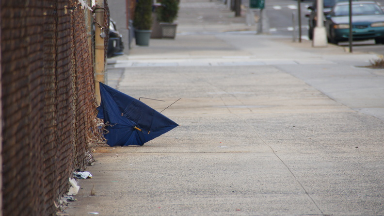 Discarded Umbrella Carcasses, NYC