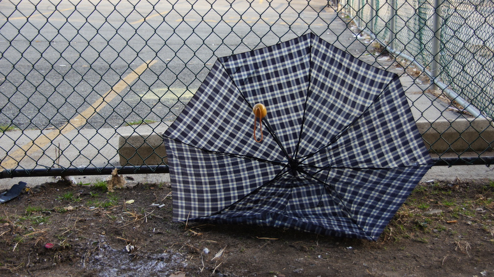 Discarded Umbrella Carcasses, NYC