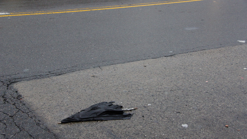 Discarded Umbrella Carcasses, NYC