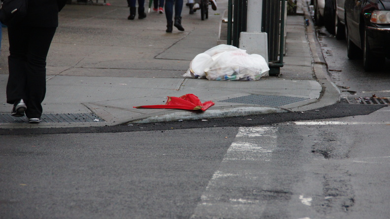 Discarded Umbrella Carcasses, NYC