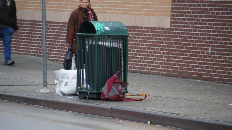 Discarded Umbrella Carcasses, NYC