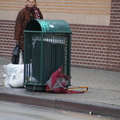 Discarded Umbrella Carcasses, NYC