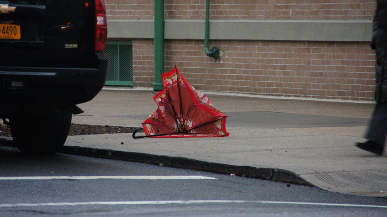 Discarded Umbrella Carcasses, NYC